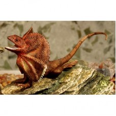 Frilled Neck Lizard Figurine